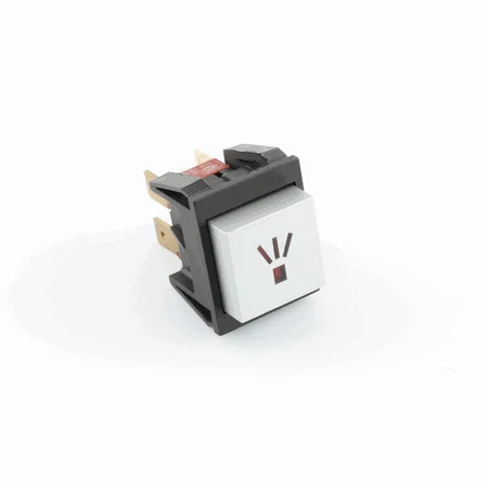 Silver Steam Bipolar Switch (Special Order) — Catalog Product