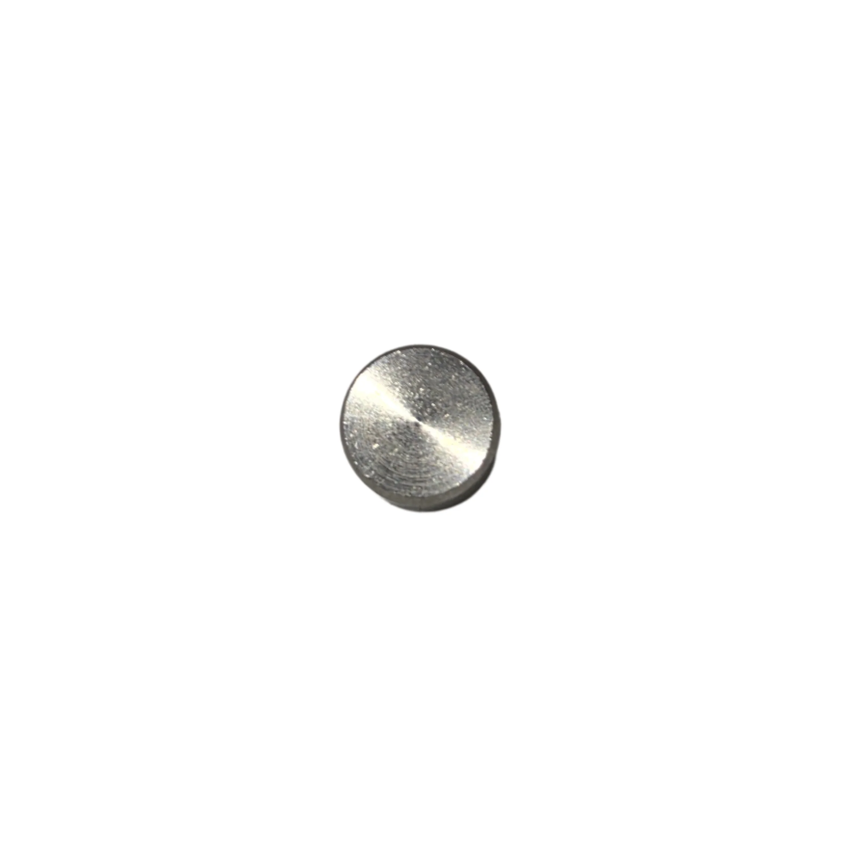 Profitec/ECM Stainless Steel Button — Catalog Product