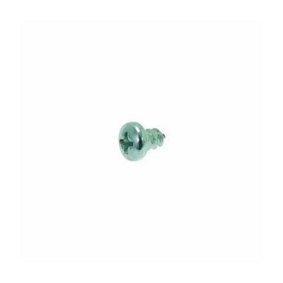 Thermostat Screw M2.9 x 4.5mm — Catalog Product