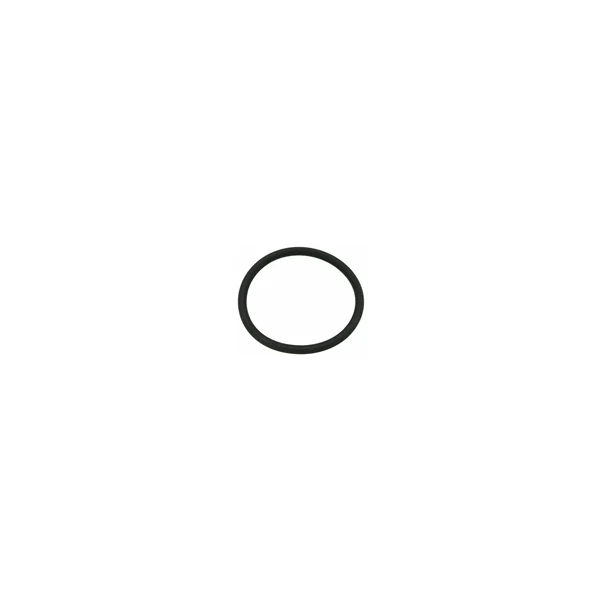 O-Ring OR 0114 EPDM — Glass