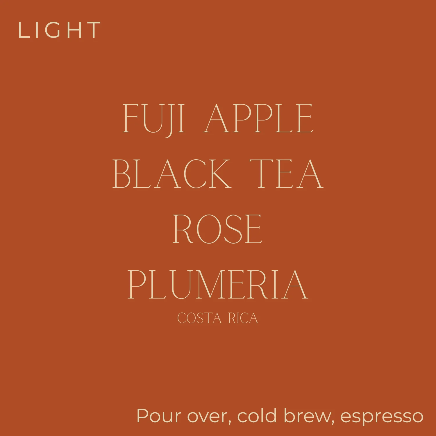 Too Good - Costa Rica - Fuji Honey Rosé Coffee Beans — Tea - Image 2