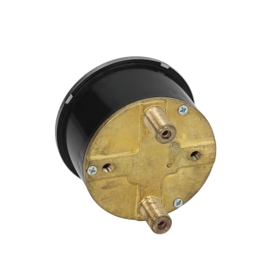 Double Scale Pressure Gauge — Bar - Image 2