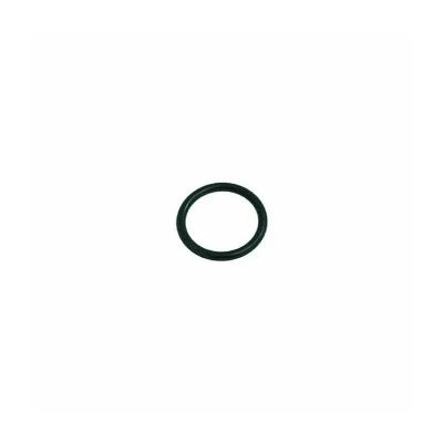 O-Ring 0160-20 EPDM — Wand