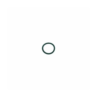 Solenoid Guide Viton O-Ring — Catalog Product