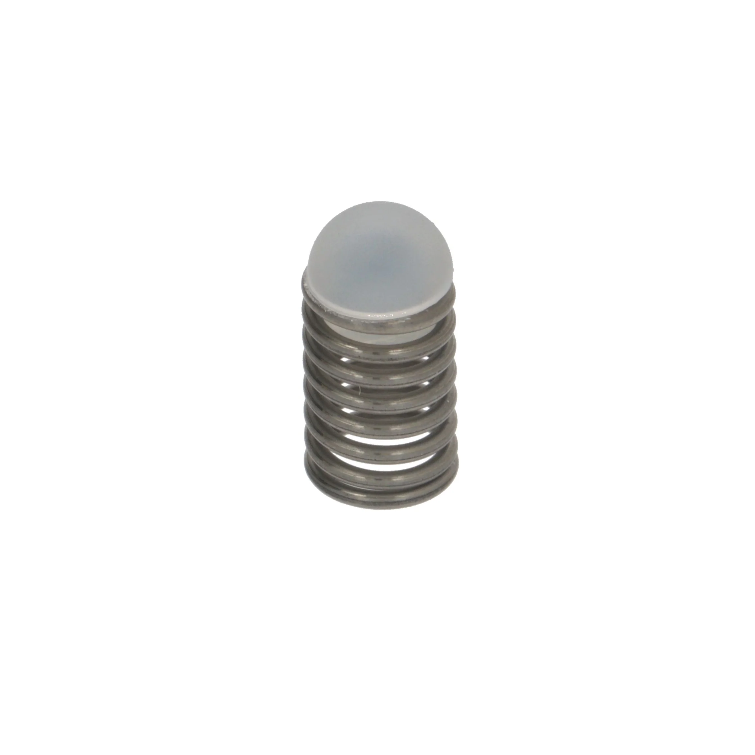 DeLonghi Valve Gasket & Spring — Catalog Product