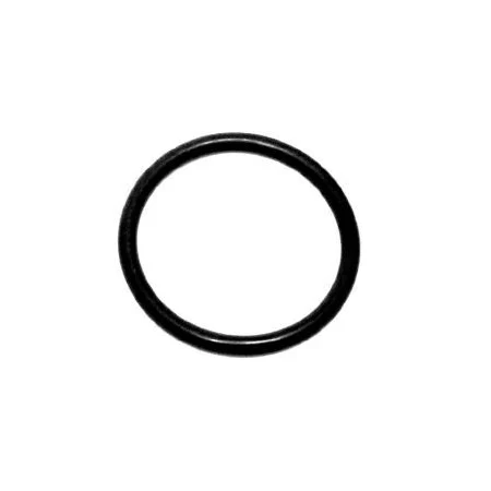 O-ring 04131 EPDM — Catalog Product