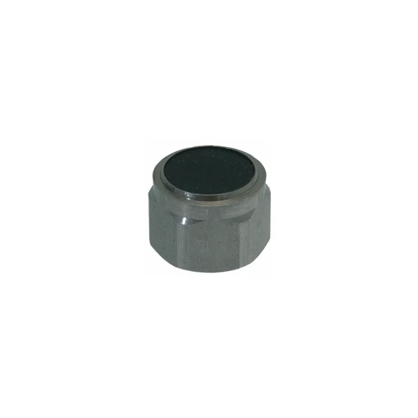 Rancilio Steam/Water Valve Piston with Gasket — Catalog Product