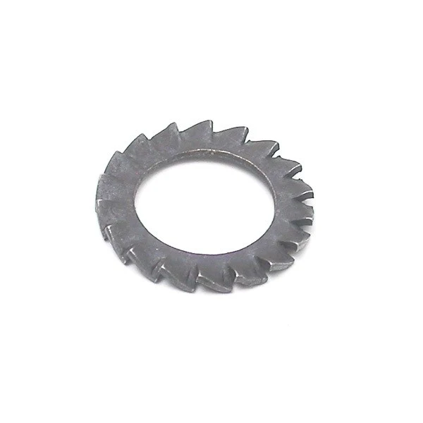 Rancilio Steam Locking Washer — Catalog Product